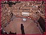 SIENA